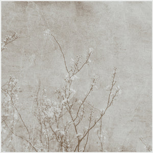 Cherry Blossom Selenium  - Limited Edition Fine Art