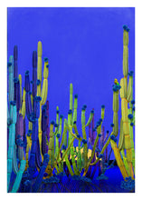 Load image into Gallery viewer, Cactus Blue - Limited Edition Fine Art