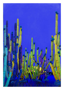 Cactus Blue - Limited Edition Fine Art