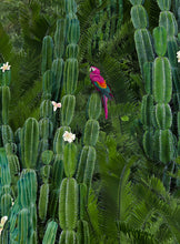 Load image into Gallery viewer, Cactus Forest - Limited Edition Fine Art