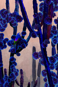 Cactus Moon- Limited Edition Fine Art