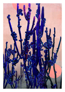 Cactus Moon- Limited Edition Fine Art