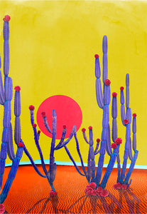 Cactus Sunset - Limited Edition Fine Art