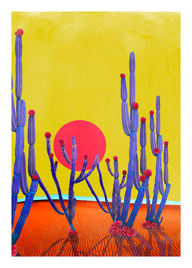 Cactus Sunset - Limited Edition Fine Art
