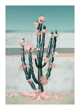 Load image into Gallery viewer, Cactus Dream - Limited Edition Fine Art