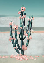 Load image into Gallery viewer, Cactus Dream - Limited Edition Fine Art