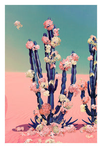 Cactus Flower - Limited Edition Fine Art