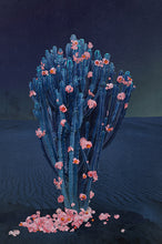 Load image into Gallery viewer, Cactus Nights - Limited Edition Fine Art