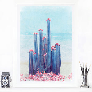 Cactus Beach - Limited Edition Fine Art print