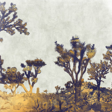 Joshua Tree - Limited Edition Fine Art print