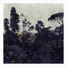 Load image into Gallery viewer, Kew - Limited Edition Fine Art print