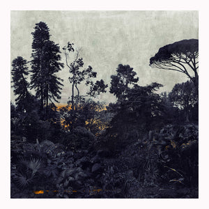 Kew - Limited Edition Fine Art print