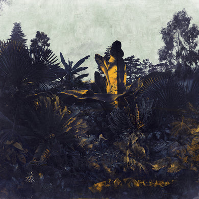 Kew Sunset- Limited Edition Fine Art print