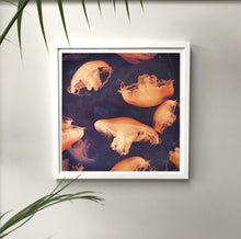 Load image into Gallery viewer, Monterey Seas- Limited edition fine art
