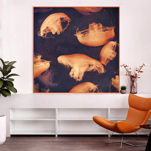 Monterey Seas- Limited edition fine art