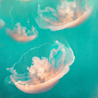 Monterey Cyan - Limited edition fine art