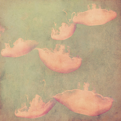 Monterey Jade - Limited edition fine art
