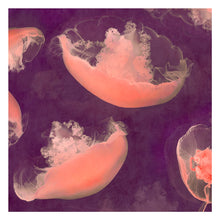 Load image into Gallery viewer, Monterey Mulberry - Limited edition fine art