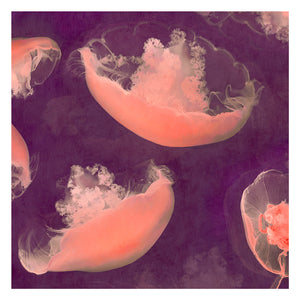 Monterey Mulberry - Limited edition fine art