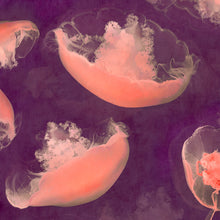 Load image into Gallery viewer, Monterey Mulberry - Limited edition fine art
