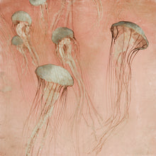 Load image into Gallery viewer, Monterey Rose - Limited edition fine art