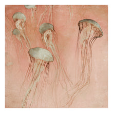 Load image into Gallery viewer, Monterey Rose - Limited edition fine art