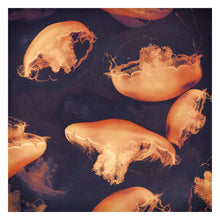 Load image into Gallery viewer, Monterey Seas- Limited edition fine art