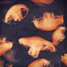 Load image into Gallery viewer, Monterey Seas- Limited edition fine art