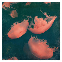 Load image into Gallery viewer, Monterey Green - Limited edition fine art