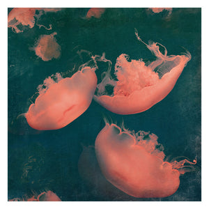 Monterey Green - Limited edition fine art
