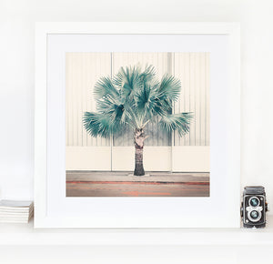 Palm Park - Limited Edition Fine Art