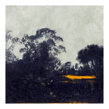 Load image into Gallery viewer, Lake at Kew - Limited Edition Fine Art print