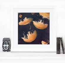 Load image into Gallery viewer, Monterey Blues - Limited edition fine art