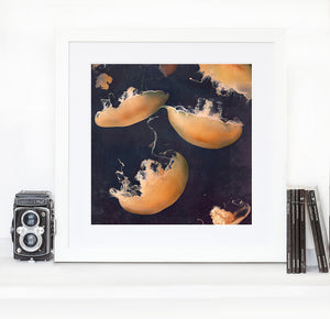 Monterey Blues - Limited edition fine art