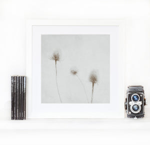 Summer breeze selenium  - Limited Edition Fine Art