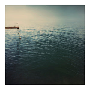 The Swimmer - Limited Edition Fine Art print