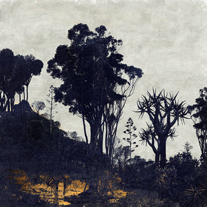 Western Cape - Limited Edition Fine Art