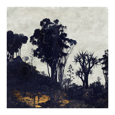 Western Cape - Limited Edition Fine Art