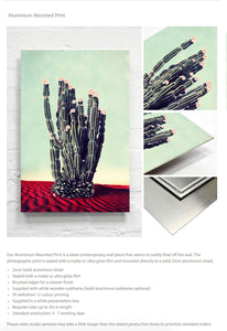 Desert Flowers - Limited Edition Fine Art