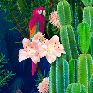 Cactus Garden - Limited Edition Fine Art