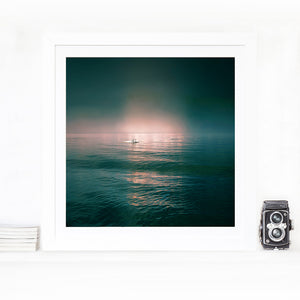 Gone Swimming - Limited Edition Fine Art print