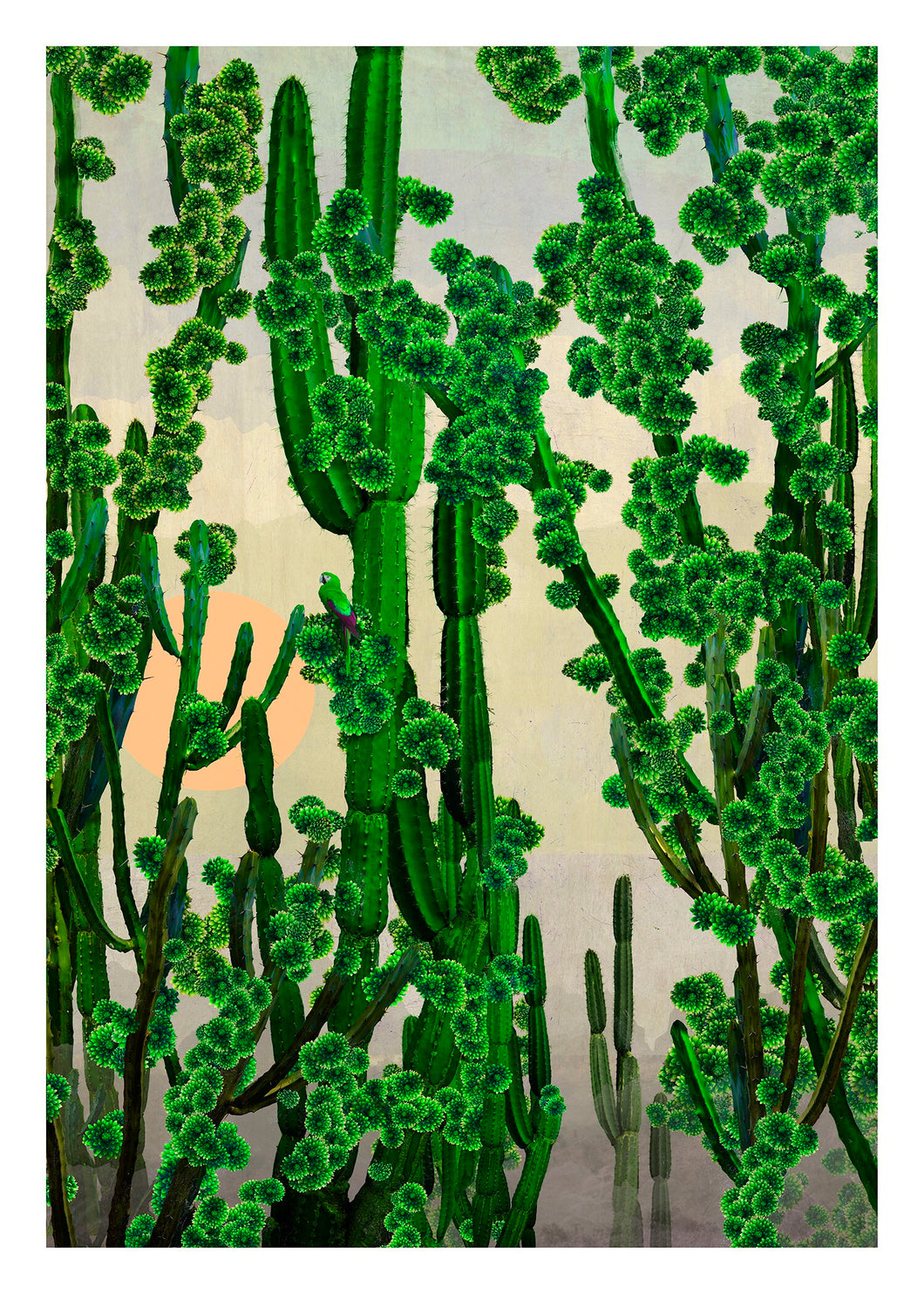 Cactus Sun - Limited Edition Fine Art