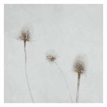 Load image into Gallery viewer, Summer breeze selenium  - Limited Edition Fine Art