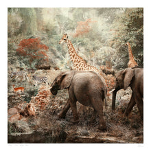 Load image into Gallery viewer, The Water Hole - Limited edition fine art
