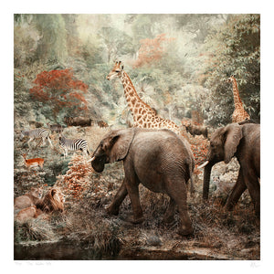The Water Hole - Limited edition fine art