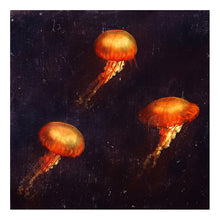 Load image into Gallery viewer, Underwater Music - LIMITED EDITION FINE ART